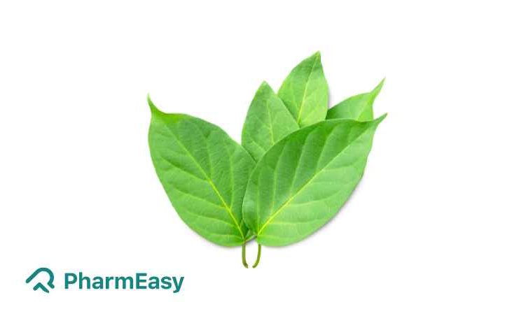 Benefits of Madhunashini