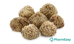 Akarkara health Benefits