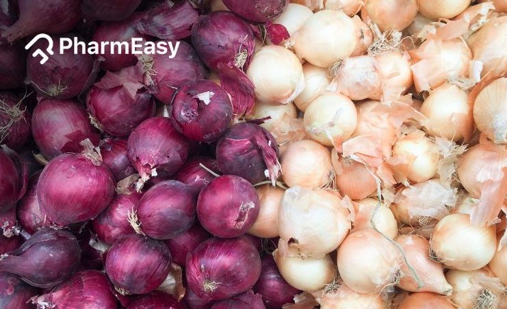 shallots vs onions