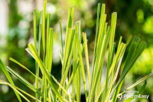 Benefits of Lemongrass