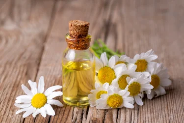 chamomile oil