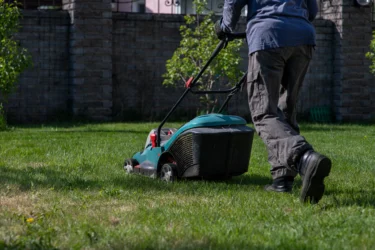 lawn and garden practices