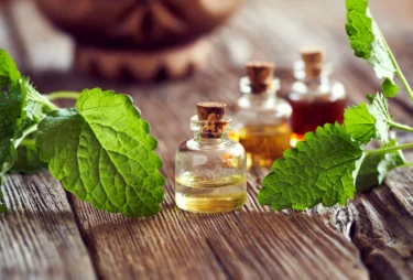 lemon balm oil